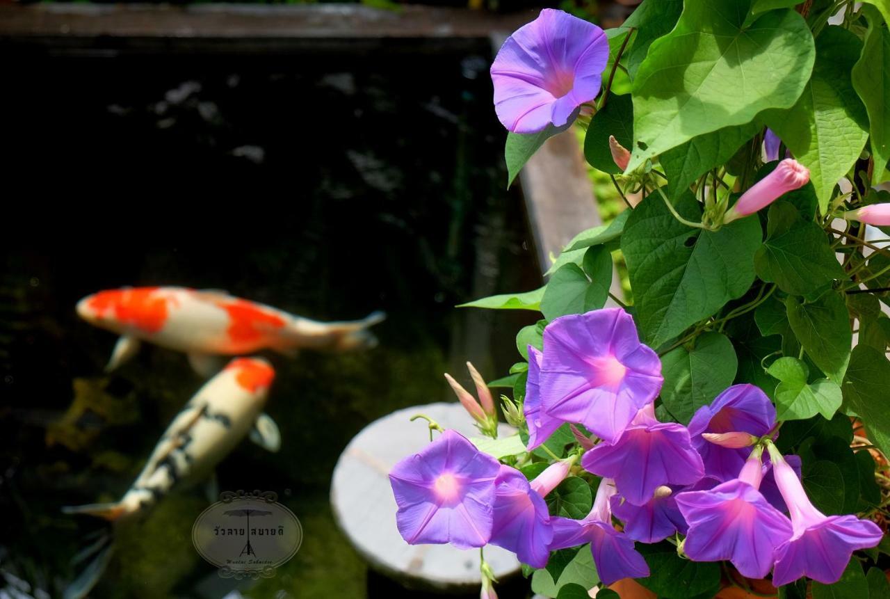 Wualai Sabaidee Bed and Breakfast Chiang Mai Eksteriør billede